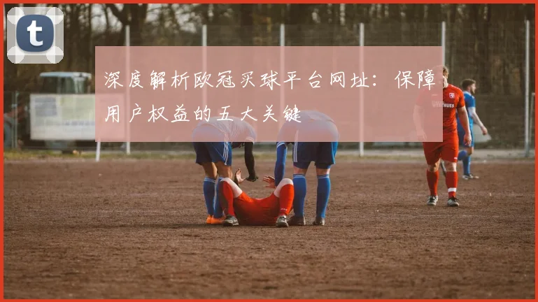 深度解析欧冠买球平台网址：保障用户权益的五大关键