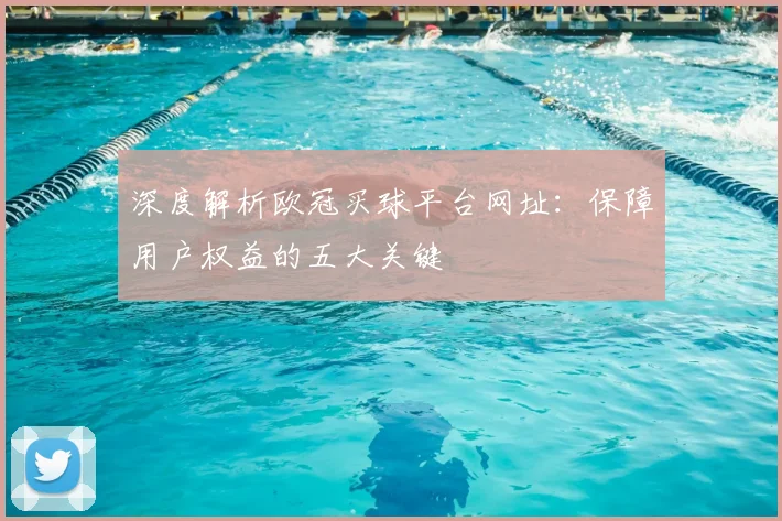 深度解析欧冠买球平台网址：保障用户权益的五大关键