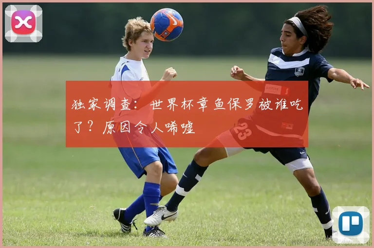 独家调查：世界杯章鱼保罗被谁吃了？原因令人唏嘘