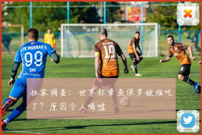 独家调查:世界杯章鱼保罗被谁吃了?原因令人唏嘘