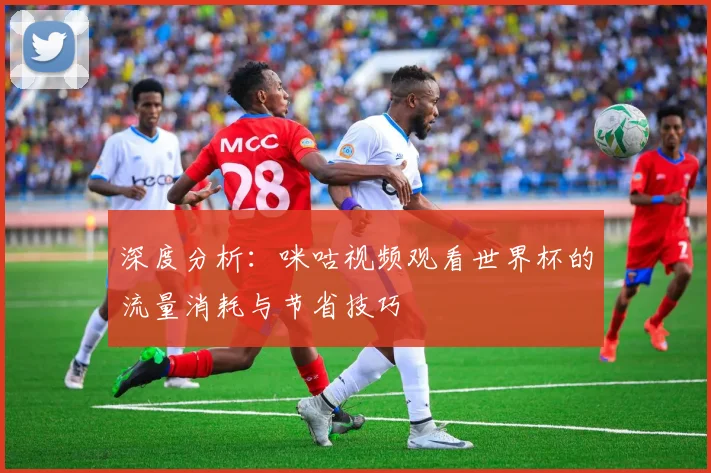 深度分析：咪咕视频观看世界杯的流量消耗与节省技巧