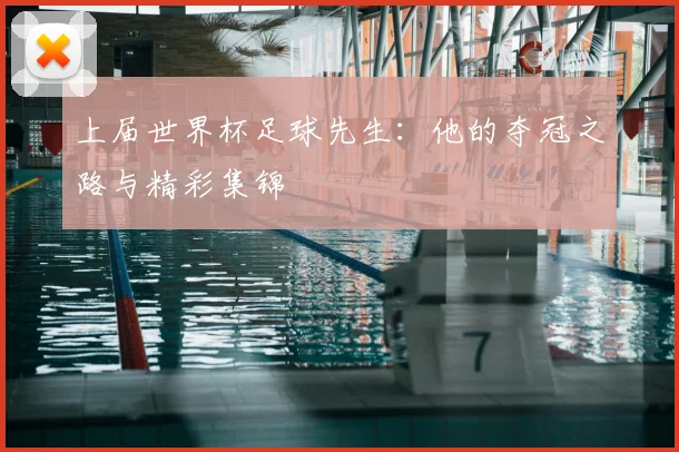 上届世界杯足球先生:他的夺冠之路与精彩集锦