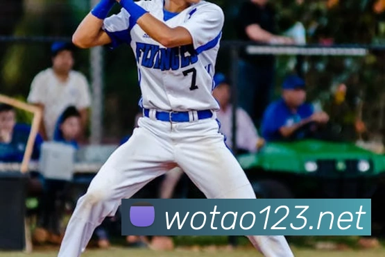 世界杯在线看球平台生态图